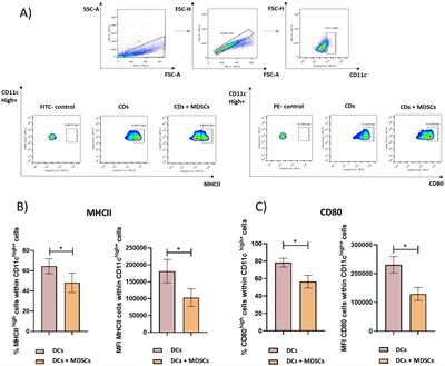 Control of myeloid-derived suppressor cell dynamics potentiates vaccine protection in multiple mouse models of Trypanosoma cruzi infection